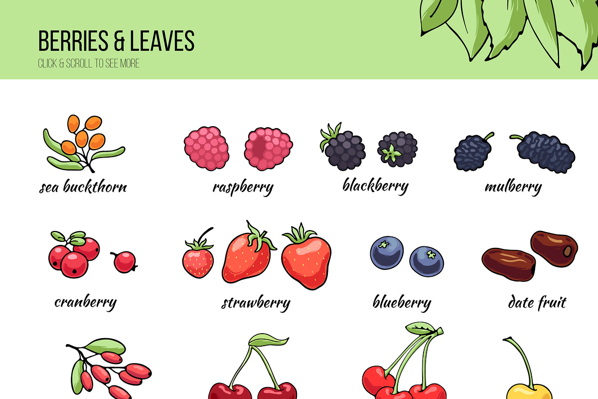 Fruit&berry clipart + label template, a Decorative Illustration by Pikovit (Photo 3 of 13)