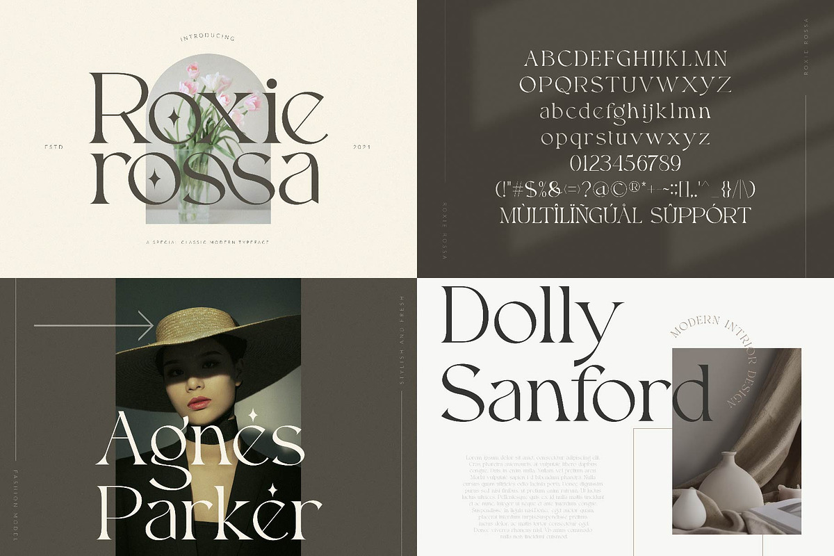 Modern Font Bundle, a Serif Font by ToniStudio