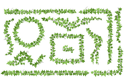 Ivy creepers. Climbing leaves vines, a Graphic by Stock-Smart-Start