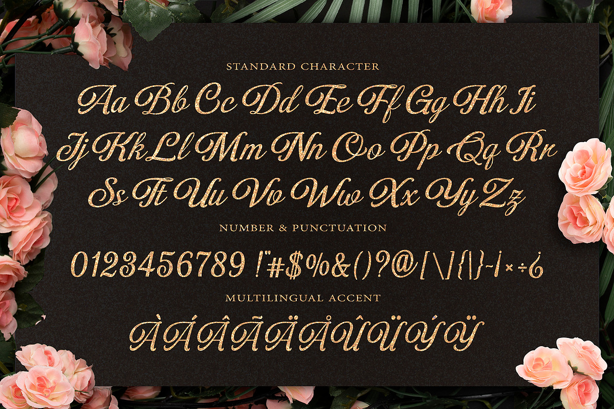 Numberline Ordinary - Script Font, a Script Font by Graphicxell (Photo 4 of 10)