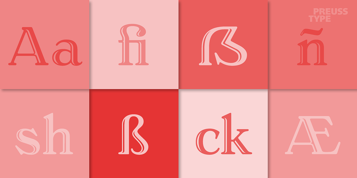 Aureata, a Serif Font by preussTYPE (Photo 10 of 10)
