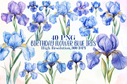 Birthday Flower Blue Iris Clipart Se, an Illustration by Sublimation Artist (Thumbnail 1 of 6)
