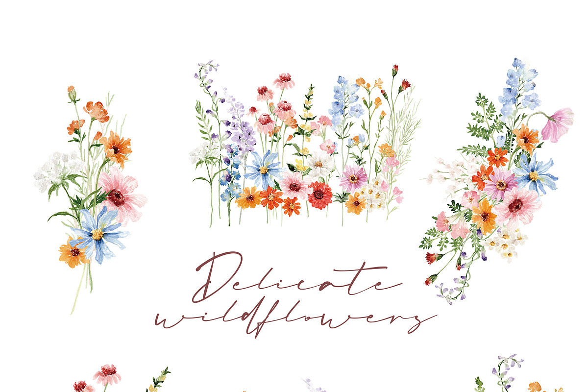 Watercolor Flower - Delicate Wild, a Decorative Illustration by Beigetime (Photo 5 of 16)