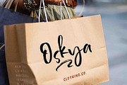Antero Brush font, a Script Font by Franstudio (Thumbnail 5 of 5)