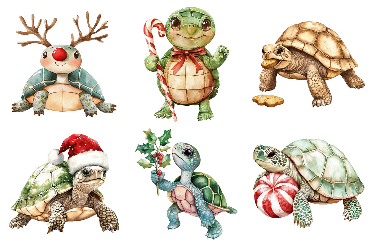 Christmas Funny Turtle Clipart, an Illustration by Daily.Designs (Photo 4 of 5)