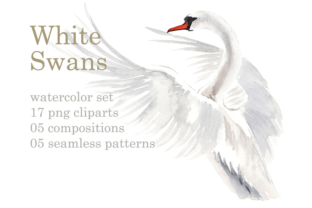 Watercolor swans, an Animal Illustration by Budogoshch (Photo 1 of 8)