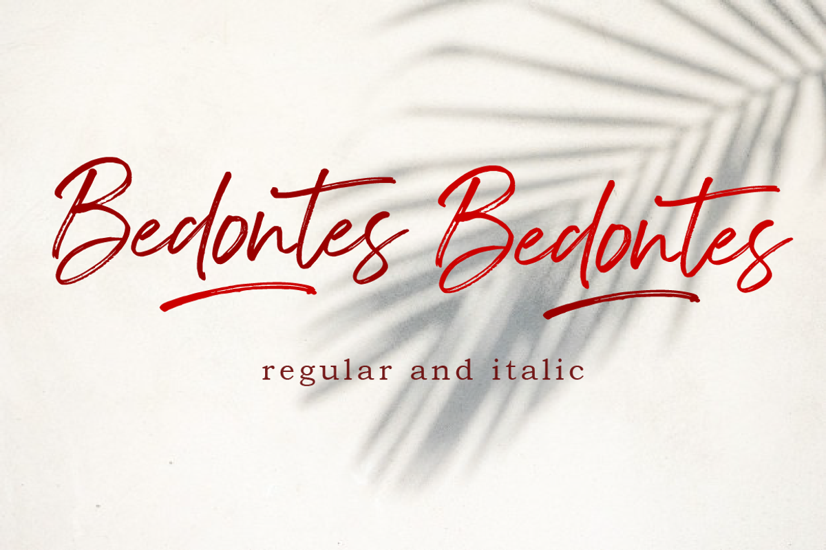 Bedontes, a Script Font by AMINMARIO (Photo 11 of 13)