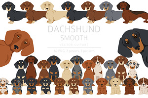 Dachshund Smooth Clipart