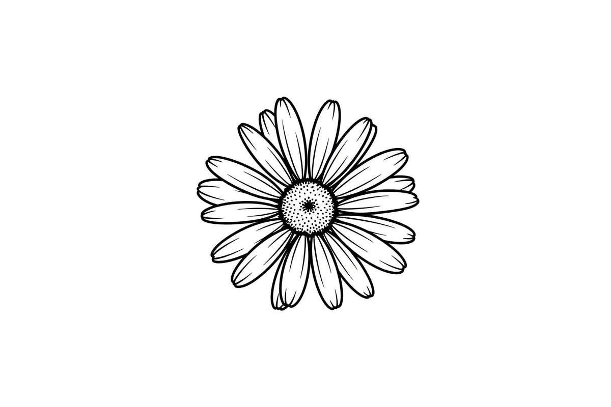 Daisy Flower Line Art Vector Bundle0, an Illustration by jahid234 (Photo 39 of 51)
