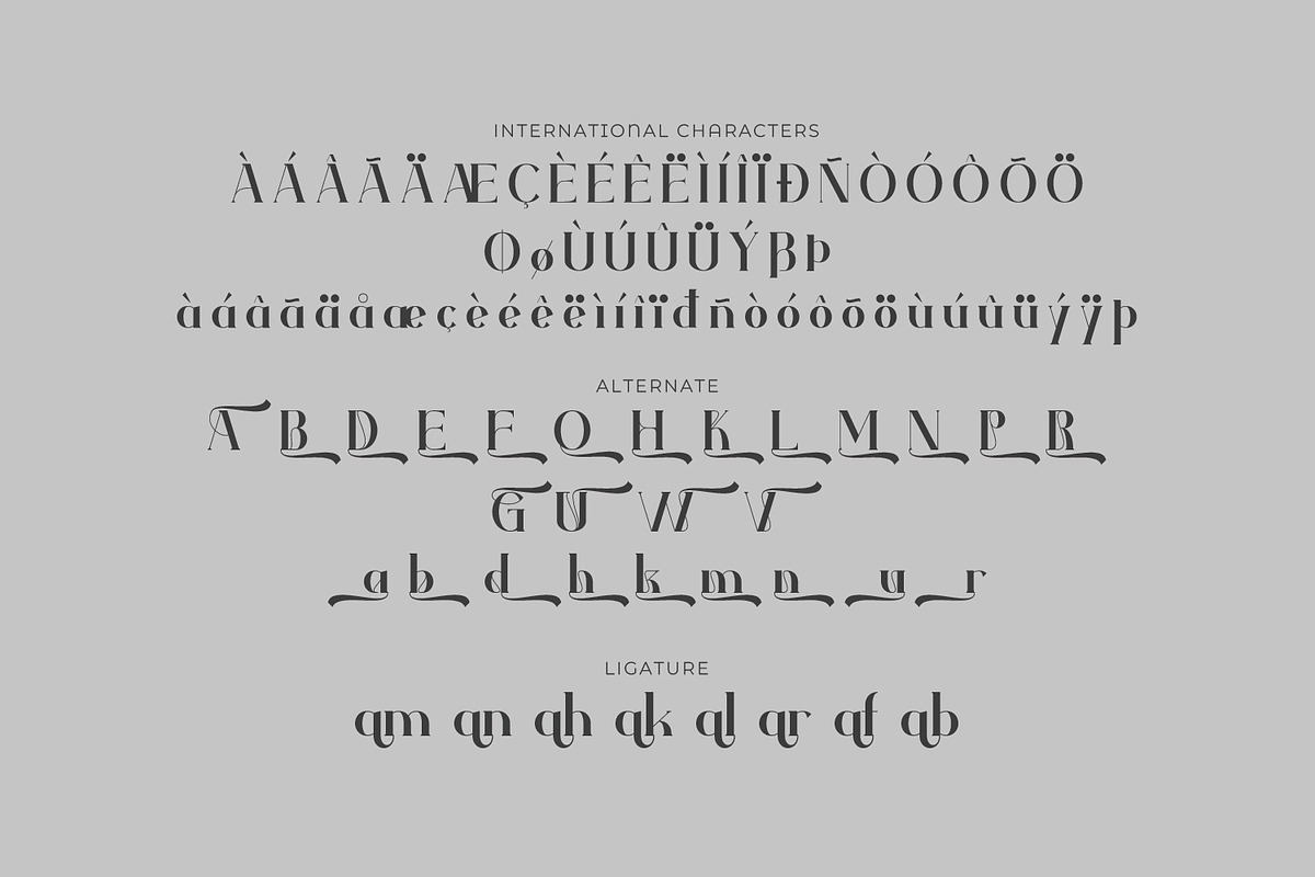 Vamoria- Serif Typeface Font, a Serif Font by Rishsketch (Photo 14 of 15)