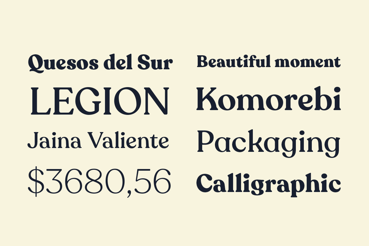 Recoleta - Family 30% off, a Serif Font by Latinotype (Photo 16 of 16)