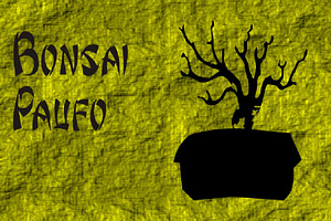 Bonsai Paufo