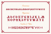 Brooks Vintage Font, a Serif Font by Harry Kasyanov (Thumbnail 5 of 8)
