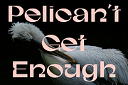 Gunter Display Font, a Sans Serif Font by That That Creative (Thumbnail 14 of 20)