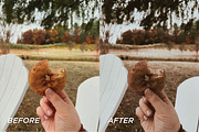 15 Moody Fall Lightroom Presets, a Preset Add-On by TheWayfarerShoppe (Thumbnail 2 of 9)