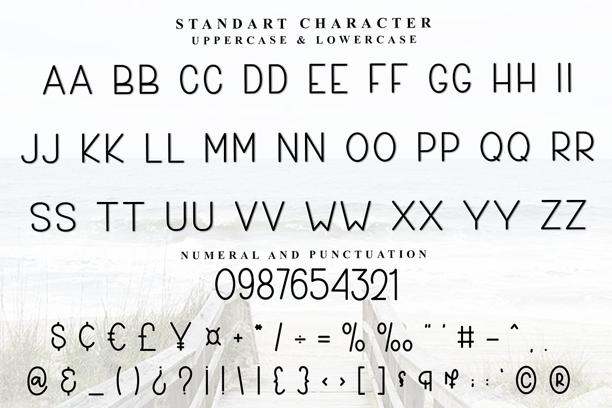 Owner Smart, a Sans Serif Font by InermediaSTUDIO (Photo 5 of 8)
