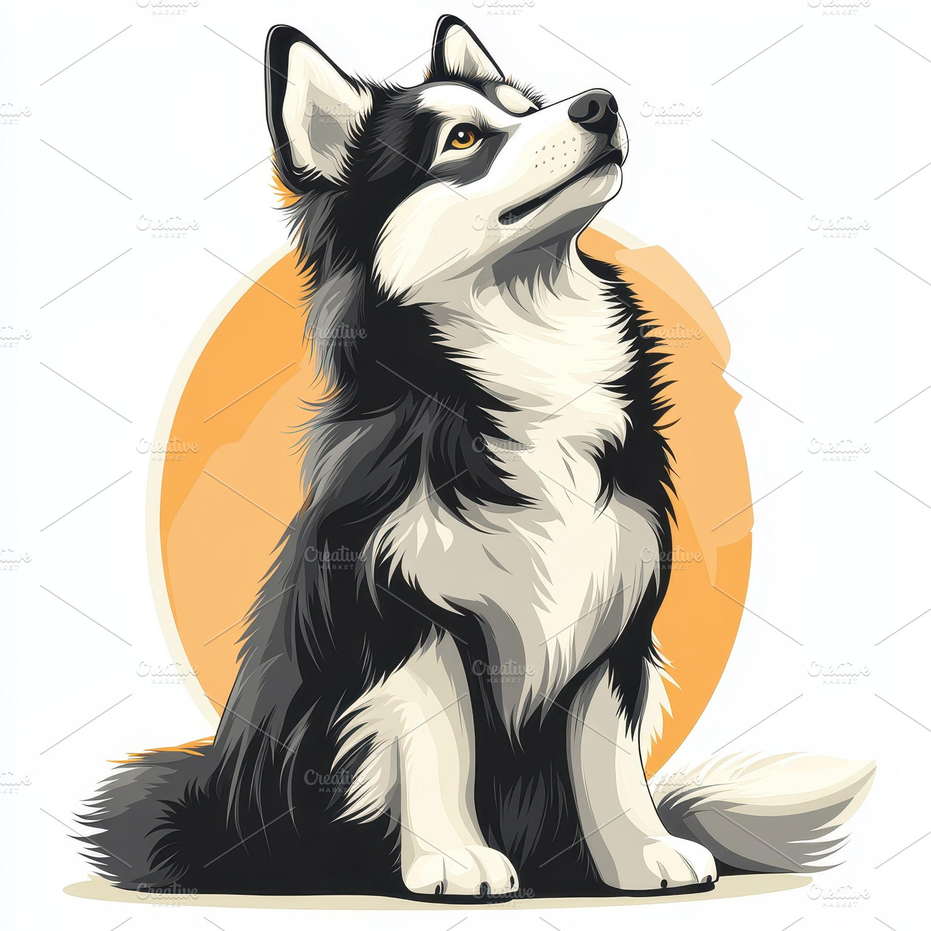 Adorable Husky Puppy Looking Up Oran, an Animal Photo by Pixeness Studio