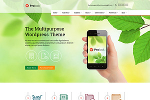 Prolook - Multipurpose Theme