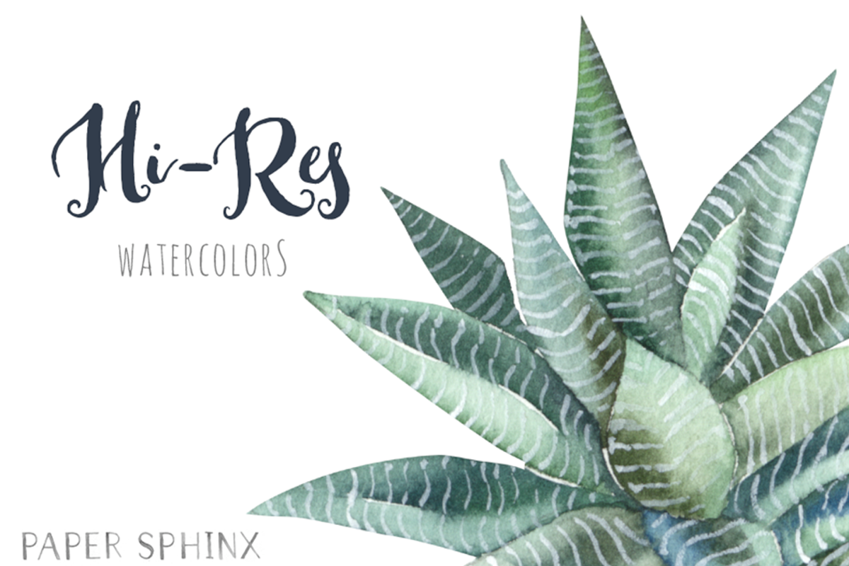 Watercolor Succulents Clipart, an Illustration by PaperSphinx (Photo 3 of 3)
