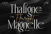 Sophan Elegant, a Serif Font by Burntilldead (Thumbnail 4 of 12)