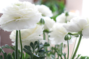 Good Vibes, Summer Dining | Stock, a Food & Drink Photo by Chalking Up Stock (Thumbnail 2 of 16)