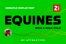 Equines Display Bold-Italic Pack
