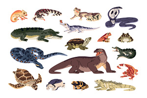 Reptiles and amphibia animals set, an Animal Illustration by PaperTrident