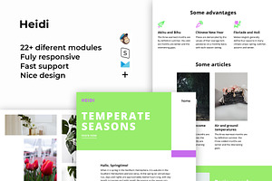 Heidi Responsive Email Template