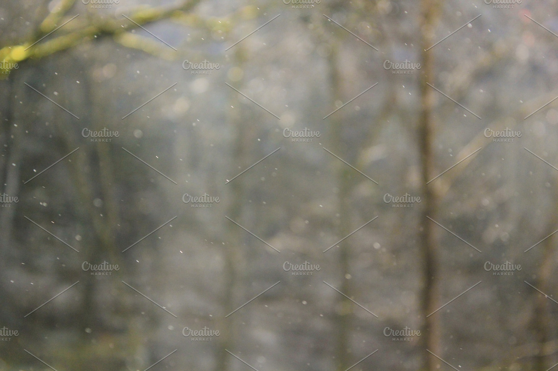 Natural Dust, an Abstract Photo by The Greenawalt's