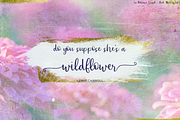 La Boheme Script, a Script Font by Beck McCormick (Thumbnail 9 of 10)