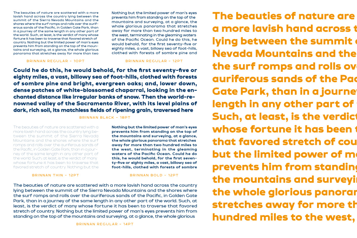 Brinnan, a Sans Serif Font by Typogama (Photo 3 of 11)
