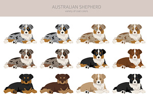 Australian Shepherd Dog Clipart