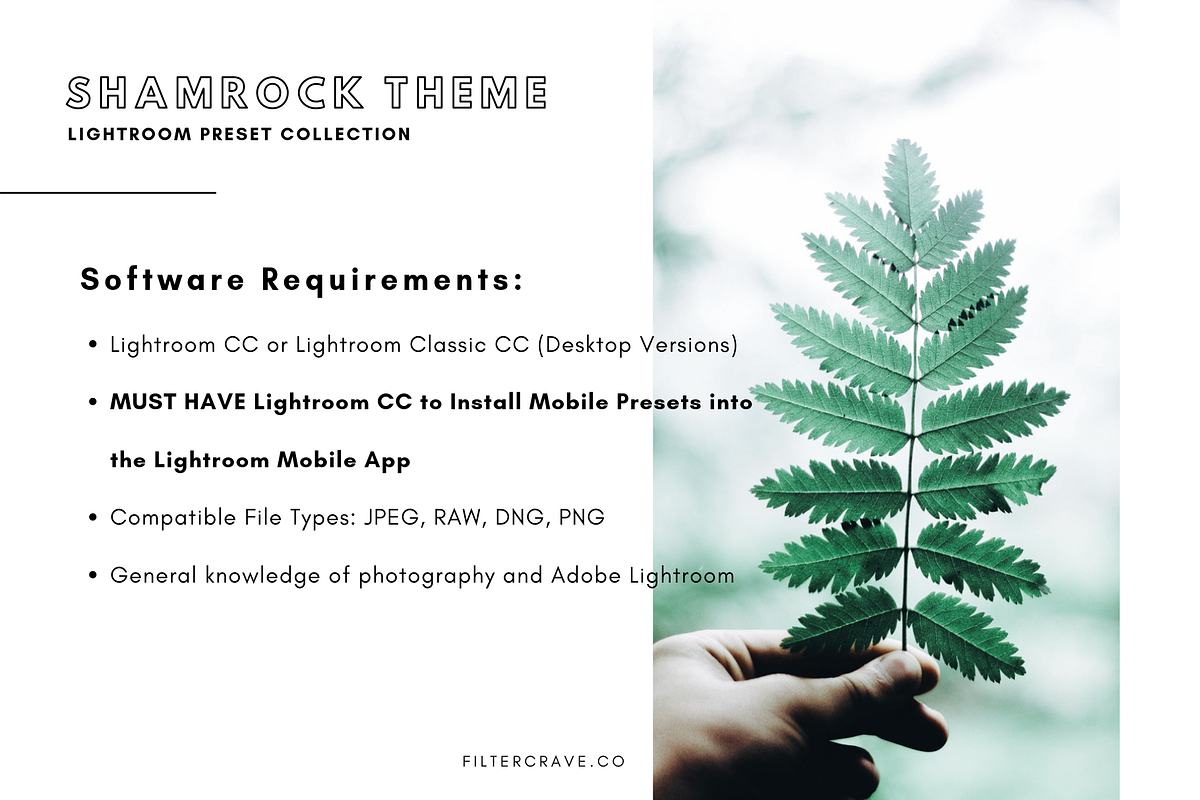Shamrock Lightroom Presets Instagram, an Action Add-On by Filtercrave (Photo 6 of 8)