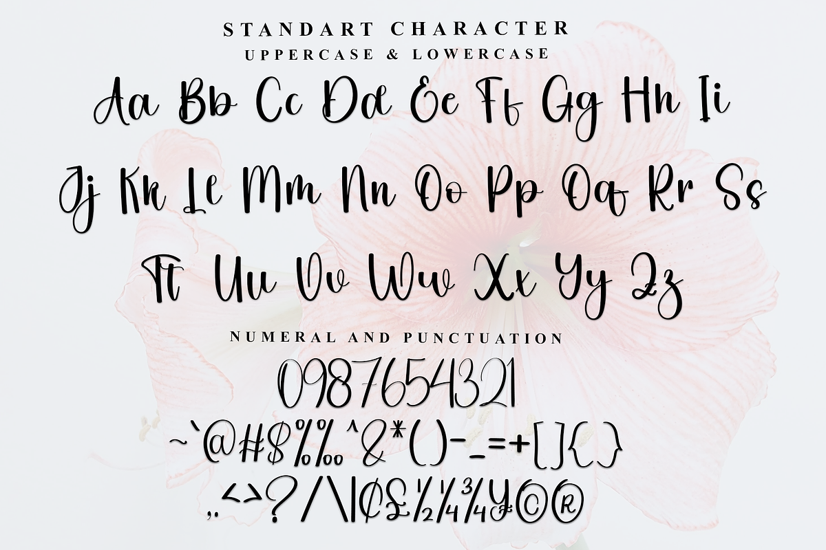 Jasmine Signature, a Handwritten Font by FreshTypeINK (Photo 4 of 8)