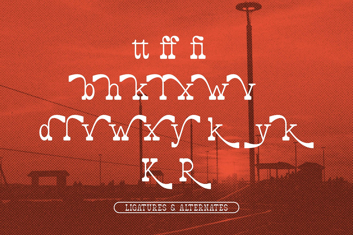 Badamy | Slab Serif Font, a Slab Serif Font by Denustudios (Photo 12 of 14)