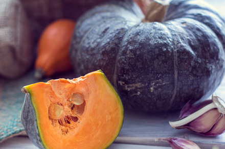 Slice of green pumpkin and other col, a Food & Drink Photo by Eni_fly