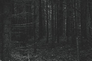 Mood collection, a Photo by Alekseyliss (Thumbnail 8 of 21)