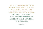 Bodikago Luxury Serif Font, a Serif Font by UICreative (Thumbnail 4 of 5)