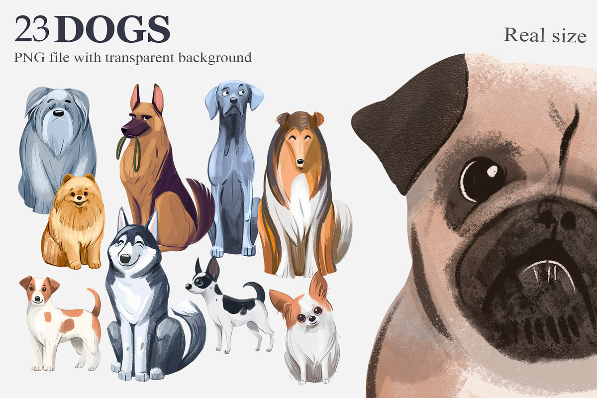 Dogs. Png clipart, an Animal Illustration by Aksol (Photo 3 of 3)