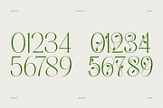Mallong Typeface, a Serif Font by alit design (Thumbnail 7 of 17)