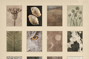 Windfall Organic Nature Backgrounds, a Background Graphic by alonahaidash (Thumbnail 12 of 14)