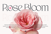 Velisse Feminine Serif Font, a Serif Font by PutraCetol Studio (Thumbnail 3 of 5)