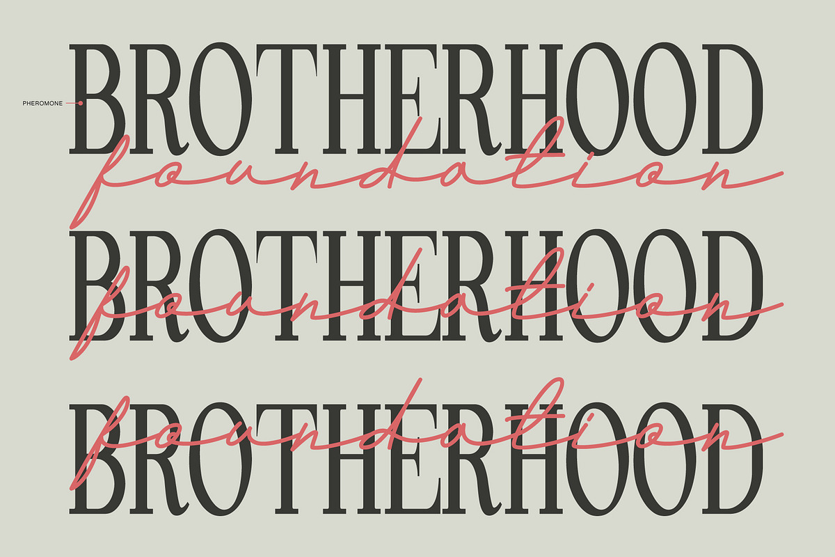Andalusia a Beautiful Script Font, a Script Font by Lettertype Studio (Photo 4 of 19)