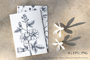 Vector Animals & Summer Flowers Set, a Seasonal Illustration by Yevheniia (Thumbnail 2 of 14)
