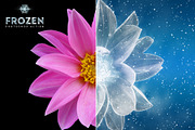 Frozen Ice Photo Effect, an Action Add-On by yantodesign (Thumbnail 4 of 10)