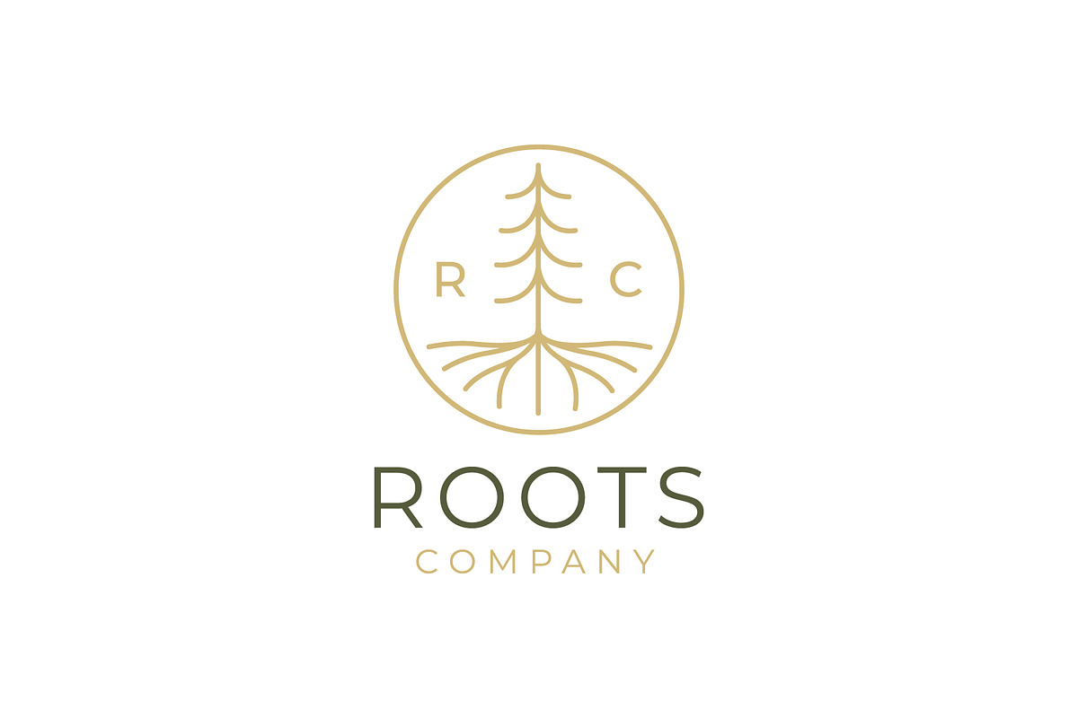 Abstract Living roots Logo, a Branding & Logo Template by sancreastd.