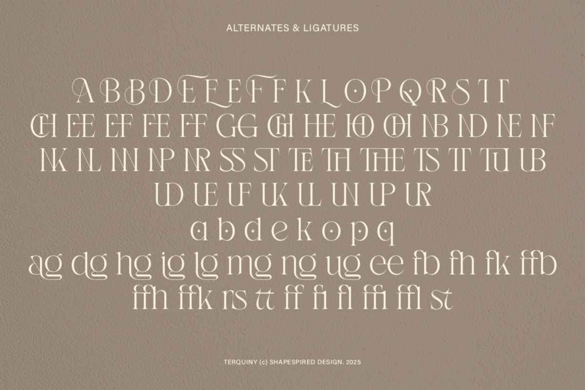 Terquiny - Modern Luxury Serif, a Serif Font by Shapespired Design (Photo 10 of 17)