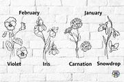 Birth Month Flowers Svg Bundle, an Object Graphic by HeyLenaArts (Thumbnail 2 of 9)
