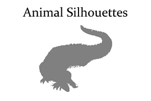 Animal Silhouettes