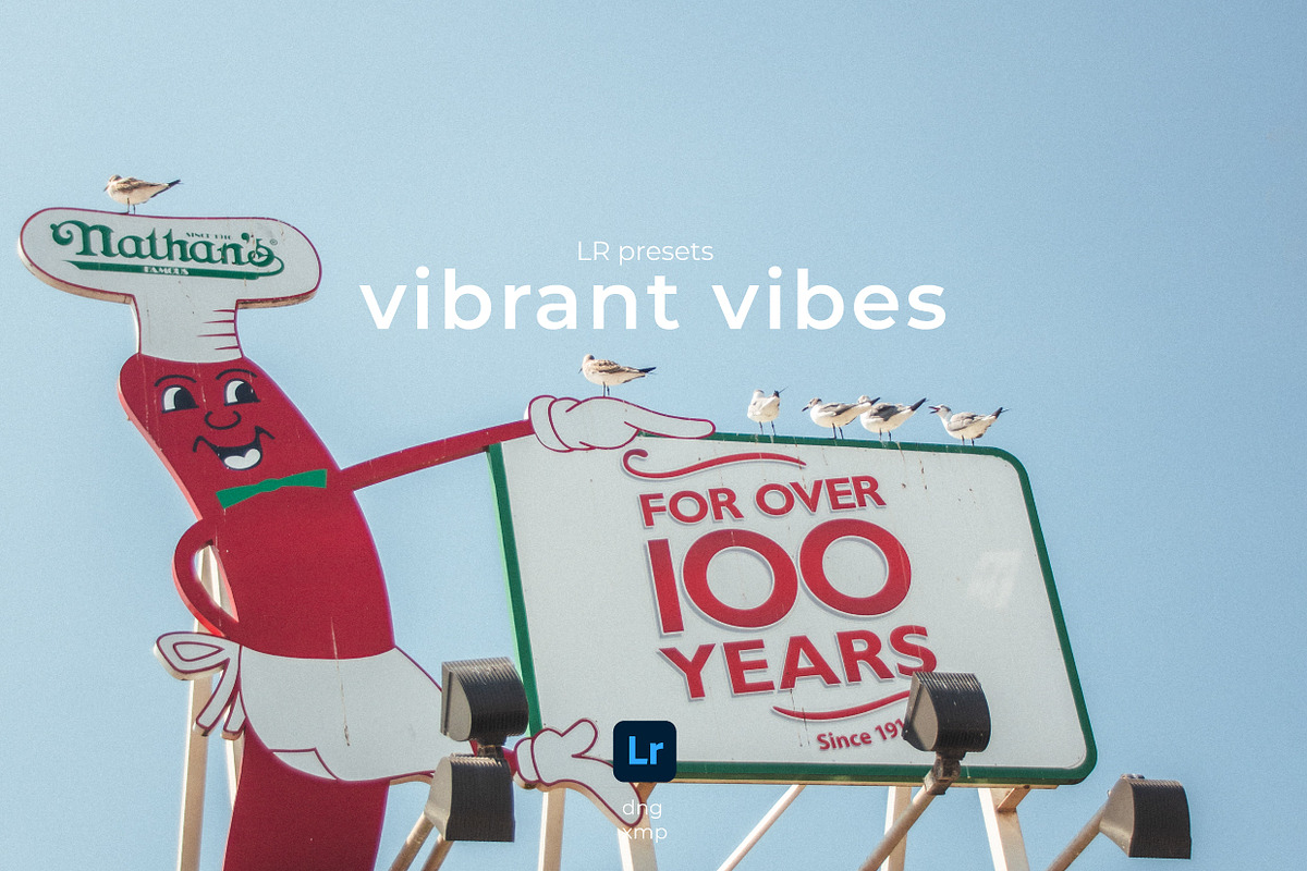 LR presets Vibrant vibes, a Preset Add-On by Emi Martinez Diana (Photo 2 of 10)